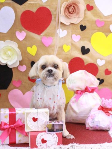 20230211ラルクくん